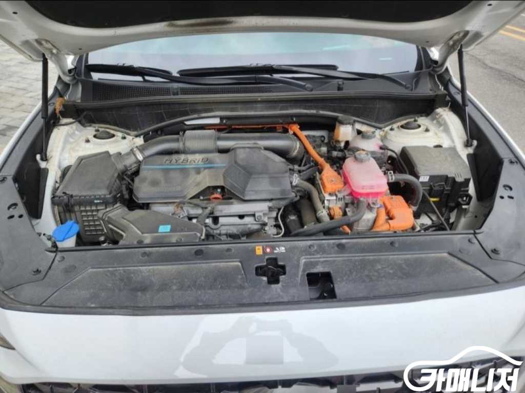 Hyundai Santa Fe The New Santa Fe Hybrid 1.6 4WD Calligraphy thumbnail 6