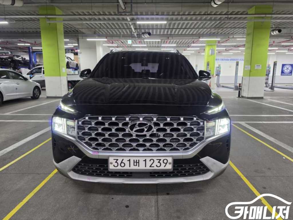 Hyundai Santa Fe The New Santa Fe Diesel 2.2 2WD Premium Choice